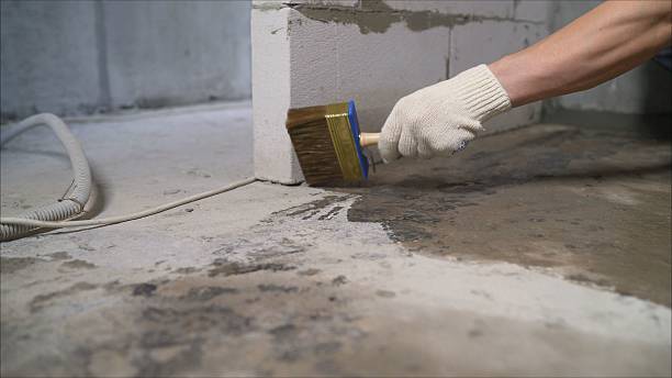 SJ Waterproofing Pros Basement Waterproofing coverage map for Pell City, AL and surrounding area